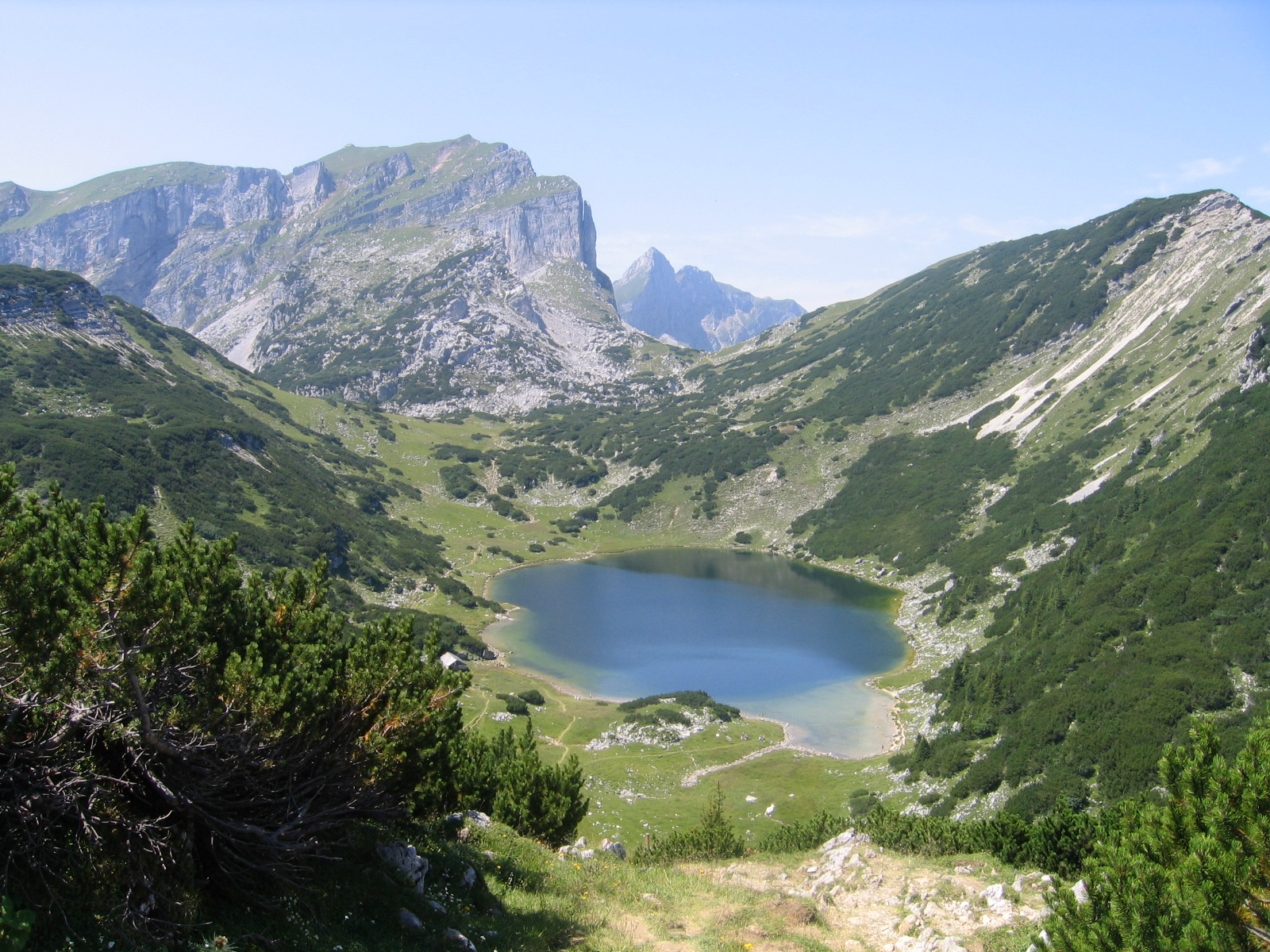 zireinsee1.jpg